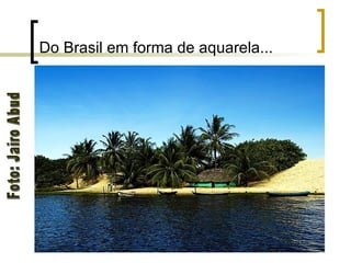 Do Brasil em forma de aquarela... Foto: Jairo Abud 