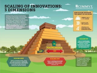 Scaling of agricultural innovations 