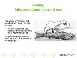 Scaling of agricultural innovations 