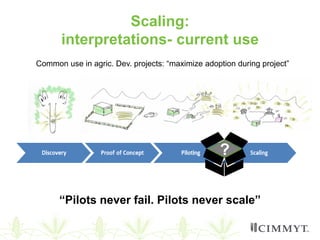 Scaling of agricultural innovations 