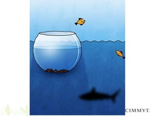 Scaling of agricultural innovations 