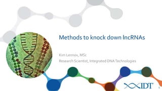 Kim Lennox, MSc
Research Scientist, Integrated DNATechnologies
Methods to knock down lncRNAs
1
 