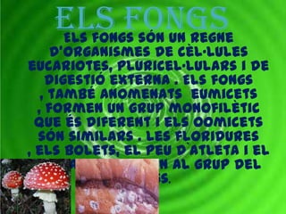 ELS FONGS
   Els fongs són un regne
     d’organismes de cèl·lules
eucariotes, pluricel·lulars i de
    digestió externa . Els fongs
   , també anomenats eumicets
  , formen un grup monofilètic
  que és diferent i els oomicets
  són similars . Les floridures
, els bolets, el peu d`atleta i el
  llevat pertanyen al grup del
               fongs.
 