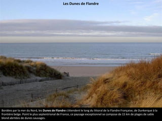 Bordées par la mer du Nord, les Dunes de Flandre s'étendent le long du littoral de la Flandre Française, de Dunkerque à la
frontière belge. Point le plus septentrional de France, ce paysage exceptionnel se compose de 15 km de plages de sable
blond abritées de dunes sauvages.
Les Dunes de Flandre
 