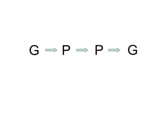 G  P  P  G  