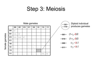 Step 3: Meiosis Male gametes female gametes 101 110 001 010 000 011 (1- r jk -  )/2 (1- r jk -  )/2 ( r jk +  ) /2 Diploid individual produces gametes ( r jk +  ) /2 000 001 010 011 100 101 110 111 000 x 1 2 001 x 1   x 2 x 2 2 010 x 1   x 3 x 2   x 3 x 3 2 011 … … … … 100 … … … … … 101 … … … … … … 110 … … … … … … … 111 … … … … … … x 7   x 8 x 8 2 