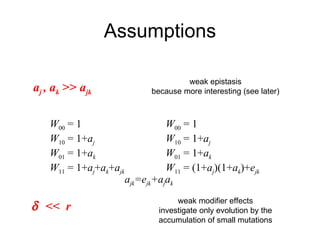 Assumptions a j  , a k  >>  a jk weak epistasis because more interesting (see later) W 00  = 1 W 10  = 1+ a j W 01  = 1+ a k W 11  =  1+ a j + a k + a jk W 00  = 1 W 10  = 1+ a j W 01  = 1+ a k W 11  = ( 1+ a j )(1+ a k )+ e jk a jk =e jk +a j a k    <<  r weak modifier effects investigate only evolution by the accumulation of small mutations 