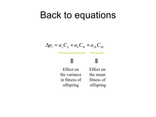 Back to equations Effect on  the mean  fitness of  offspring Effect on the variance in fitness of offspring 