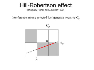 Hill-Robertson effect (originally Fisher 1930, Muller 1932) e jk C jk  0 Interference among selected loci generate negative  C jk   