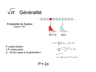 Généralité Probabilité de fixation Haldane 1927 … … 0 1 2 3 4 5 … 0 1 2 3 4 5 … P (1+ s ) P (1) P: proba fixation 1-P: proba perte X t  : nb de copies à la génération t P  ≈ 2 s 