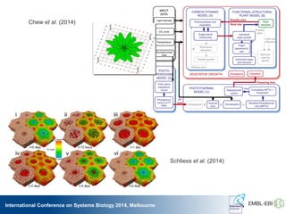 International Conference on Systems Biology 2014, Melbourne
Schliess et al. (2014)
Chew et al. (2014)
 