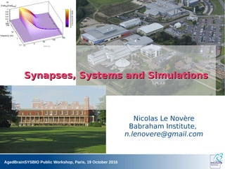 AgedBrainSYSBIO Public Workshop, Paris, 19 October 2016
Nicolas Le Novère
Babraham Institute,
n.lenovere@gmail.com
Synapses, Systems and Simulations
Synapses, Systems and Simulations
 