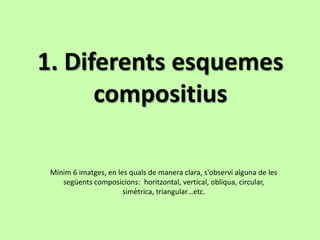 1. Diferents esquemes
      compositius

 Mínim 6 imatges, en les quals de manera clara, s'observi alguna de les
    següents composicions: horitzontal, vertical, obliqua, circular,
                       simètrica, triangular…etc.
 