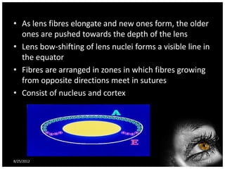 • As lens fibres elongate and new ones form, the older
  ones are pushed towards the depth of the lens
• Lens bow-shifting of lens nuclei forms a visible line in
  the equator
• Fibres are arranged in zones in which fibres growing
  from opposite directions meet in sutures
• Consist of nucleus and cortex




8/25/2012                                                11
 