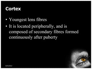 Cortex

• Youngest lens fibres
• It is located peripherally, and is
  composed of secondary fibres formed
  continuously after puberty




8/25/2012                               15
 
