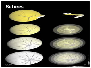 Sutures




8/25/2012   20
 