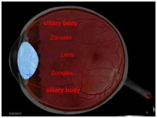 ciliary body

              Zonules

                  Lens


              Zonules

            ciliary body


8/25/2012                  3
 