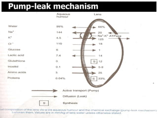 Pump-leak mechanism




8/25/2012             33
 