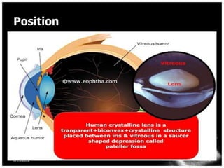 Position




8/25/2012   4
 