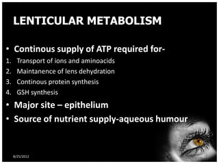 LENTICULAR METABOLISM

• Continous supply of ATP required for-
1.     Transport of ions and aminoacids
2.     Maintanence of lens dehydration
3.     Continous protein synthesis
4.     GSH synthesis
• Major site – epithelium
• Source of nutrient supply-aqueous humour


     8/25/2012                               41
 