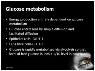 Glucose metabolism

• Energy production entirely dependent on glucose
  metabolism
• Glucose enters lens by simple diffusion and
  facilitated diffusion
• Epithelial cells- GLUT-1
• Lens fibre cells-GLUT-3
• Glucose is rapidly metabolized via glycolysis so that
  level of free glucose in lens < 1/10 level in aqueous


8/25/2012                                                 42
 