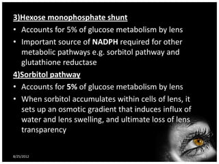 3)Hexose monophosphate shunt
• Accounts for 5% of glucose metabolism by lens
• Important source of NADPH required for other
  metabolic pathways e.g. sorbitol pathway and
  glutathione reductase
4)Sorbitol pathway
• Accounts for 5% of glucose metabolism by lens
• When sorbitol accumulates within cells of lens, it
  sets up an osmotic gradient that induces influx of
  water and lens swelling, and ultimate loss of lens
  transparency

8/25/2012                                              45
 