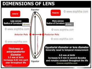 DIMENSIONS OF LENS



             10 mm   6 mm




 8/25/2012                  6
 