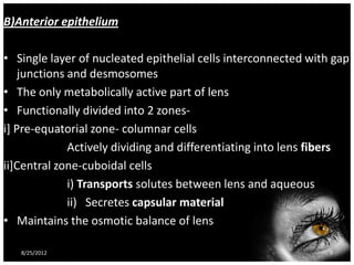 B)Anterior epithelium

• Single layer of nucleated epithelial cells interconnected with gap
    junctions and desmosomes
• The only metabolically active part of lens
• Functionally divided into 2 zones-
i] Pre-equatorial zone- columnar cells
              Actively dividing and differentiating into lens fibers
ii]Central zone-cuboidal cells
              i) Transports solutes between lens and aqueous
              ii) Secretes capsular material
• Maintains the osmotic balance of lens

   8/25/2012                                                    9
 