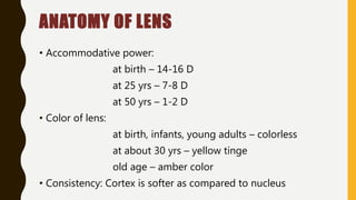 ANATOMY OF LENS
• Accommodative power:
at birth – 14-16 D
at 25 yrs – 7-8 D
at 50 yrs – 1-2 D
• Color of lens:
at birth, infants, young adults – colorless
at about 30 yrs – yellow tinge
old age – amber color
• Consistency: Cortex is softer as compared to nucleus
 