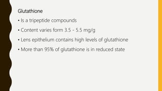 Glutathione
• Is a tripeptide compounds
• Content varies form 3.5 - 5.5 mg/g
• Lens epithelium contains high levels of glutathione
• More than 95% of glutathione is in reduced state
 