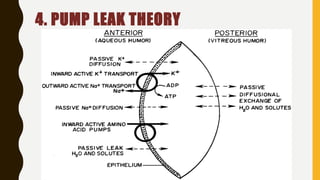 4. PUMP LEAK THEORY
 