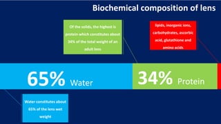 34% Protein65% Water
Biochemical composition of lens
Water constitutes about
65% of the lens wet
weight
Of the solids, the highest is
protein which constitutes about
34% of the total weight of an
adult lens
lipids, inorganic ions,
carbohydrates, ascorbic
acid, glutathione and
amino acids
 