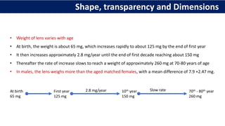 Shape, transparency and Dimensions
• Weight of lens varies with age
• At birth, the weight is about 65 mg, which increases rapidly to about 125 mg by the end of first year
• It then increases approximately 2.8 mg/year until the end of first decade reaching about 150 mg
• Thereafter the rate of increase slows to reach a weight of approximately 260 mg at 70-80 years of age
• In males, the lens weighs more than the aged matched females, with a mean difference of 7.9 +2.47 mg.
At birth
65 mg
First year
125 mg
10th year
150 mg
70th - 80th year
260 mg
2.8 mg/year Slow rate
 