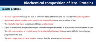 Biochemical composition of lens: Proteins
Soluble proteins
• The lens crystallins make up the bulk of refractive fibres of the lens and are considered structural proteins
• synthesis of soluble proteins takes place in the equatorial part and on the surface of lens
• The newly formed fibres contain very little or no albuminoid
• A part of the soluble lens proteins may be formed in deeper lens fibres, at least in those which contain nuclei
• The high concentration of crystallins and the gradient of refractive index are responsible for the refractive
properties of the lens
• The short range order of these proteins ensures that the lens remains transparent
 
