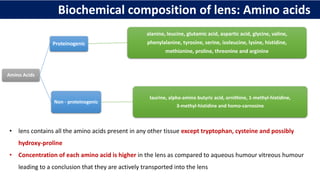 Biochemical composition of lens: Amino acids
Amino Acids
Proteinogenic
alanine, leucine, glutamic acid, aspartic acid, glycine, valine,
phenylalanine, tyrosine, serine, isoleucine, lysine, histidine,
methionine, proline, threonine and arginine
Non - proteinogenic
taurine, alpha-amino butyric acid, ornithine, 1-methyl-histidine,
3-methyl-histidine and homo-carnosine
• lens contains all the amino acids present in any other tissue except tryptophan, cysteine and possibly
hydroxy-proline
• Concentration of each amino acid is higher in the lens as compared to aqueous humour vitreous humour
leading to a conclusion that they are actively transported into the lens
 