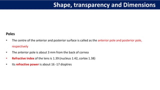 Poles
• The centre of the anterior and posterior surface is called as the anterior pole and posterior pole,
respectively
• The anterior pole is about 3 mm from the back of cornea
• Refractive index of the lens is 1.39 (nucleus 1.42, cortex 1.38)
• Its refractive power is about 16 -17 dioptres
Shape, transparency and Dimensions
 