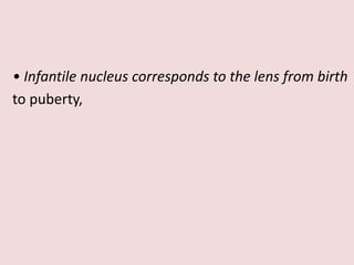 • Infantile nucleus corresponds to the lens from birth
to puberty,
 