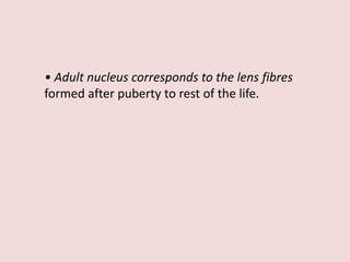 • Adult nucleus corresponds to the lens fibres
formed after puberty to rest of the life.
 