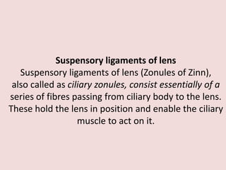 Suspensory ligaments of lens
Suspensory ligaments of lens (Zonules of Zinn),
also called as ciliary zonules, consist essentially of a
series of fibres passing from ciliary body to the lens.
These hold the lens in position and enable the ciliary
muscle to act on it.
 