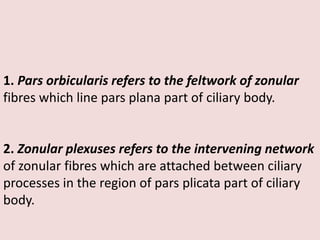 1. Pars orbicularis refers to the feltwork of zonular
fibres which line pars plana part of ciliary body.
2. Zonular plexuses refers to the intervening network
of zonular fibres which are attached between ciliary
processes in the region of pars plicata part of ciliary
body.
 