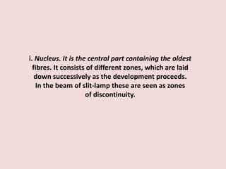 i. Nucleus. It is the central part containing the oldest
fibres. It consists of different zones, which are laid
down successively as the development proceeds.
In the beam of slit-lamp these are seen as zones
of discontinuity.
 