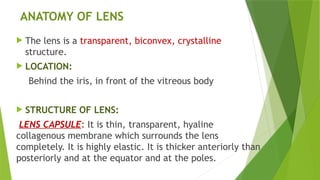 Comprehensive Overview of Lens Anatomy, Biochemistry, and Metabolism in ...
