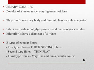 • CILIARY ZONULES
• Zonules of Zinn or suspensory ligaments of lens
• They run from ciliary body and fuse into lens capsule at equator
• Fibres are made up of glycoproteins and mucopolysaccharides
• Microfibrils have a diameter of 8-40nm
• 3 types of zonular fibres
- First type fibres – THICK STRONG fibres
- Second type fibres – THIN FLAT
- Third type fibres – Very fine and run a circular course
17
 