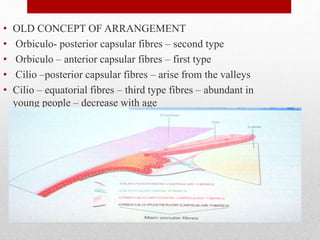 • OLD CONCEPT OF ARRANGEMENT
• Orbiculo- posterior capsular fibres – second type
• Orbiculo – anterior capsular fibres – first type
• Cilio –posterior capsular fibres – arise from the valleys
• Cilio – equatorial fibres – third type fibres – abundant in
young people – decrease with age
18
 