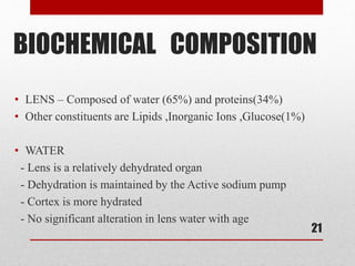 • LENS – Composed of water (65%) and proteins(34%)
• Other constituents are Lipids ,Inorganic Ions ,Glucose(1%)
• WATER
- Lens is a relatively dehydrated organ
- Dehydration is maintained by the Active sodium pump
- Cortex is more hydrated
- No significant alteration in lens water with age
21
BIOCHEMICAL COMPOSITION
 