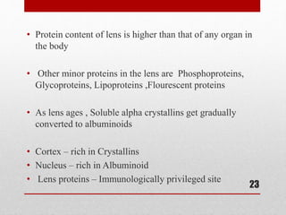• Protein content of lens is higher than that of any organ in
the body
• Other minor proteins in the lens are Phosphoproteins,
Glycoproteins, Lipoproteins ,Flourescent proteins
• As lens ages , Soluble alpha crystallins get gradually
converted to albuminoids
• Cortex – rich in Crystallins
• Nucleus – rich in Albuminoid
• Lens proteins – Immunologically privileged site
23
 