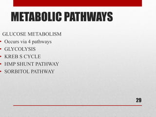 METABOLIC PATHWAYS
GLUCOSE METABOLISM
• Occurs via 4 pathways
• GLYCOLYSIS
• KREB S CYCLE
• HMP SHUNT PATHWAY
• SORBITOL PATHWAY
29
 