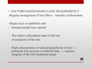 • FACTORS MAINTAINING LENS TRANSPARENCY
-Regular arrangement of lens fibres – lamellar conformation
-Single layer of epithelial cells
- Semipermeable lens capsule
- The relative dehydrated state of the lens
- Avascularity of the lens
- High concentration of reduced glutathione in lens ---
maintains lens proteins in reduced state -----ensures
integrity of the cell membrane pump
35
 