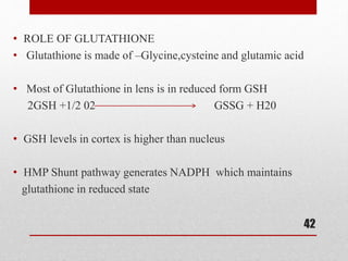 • ROLE OF GLUTATHIONE
• Glutathione is made of –Glycine,cysteine and glutamic acid
• Most of Glutathione in lens is in reduced form GSH
2GSH +1/2 02 GSSG + H20
• GSH levels in cortex is higher than nucleus
• HMP Shunt pathway generates NADPH which maintains
glutathione in reduced state
42
 