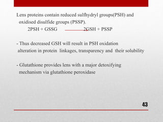 Lens proteins contain reduced sulfhydryl groups(PSH) and
oxidised disulfide groups (PSSP).
2PSH + GSSG 2GSH + PSSP
- Thus decreased GSH will result in PSH oxidation
alteration in protein linkages, transparency and their solubility
- Glutathione provides lens with a major detoxifying
mechanism via glutathione peroxidase
43
 